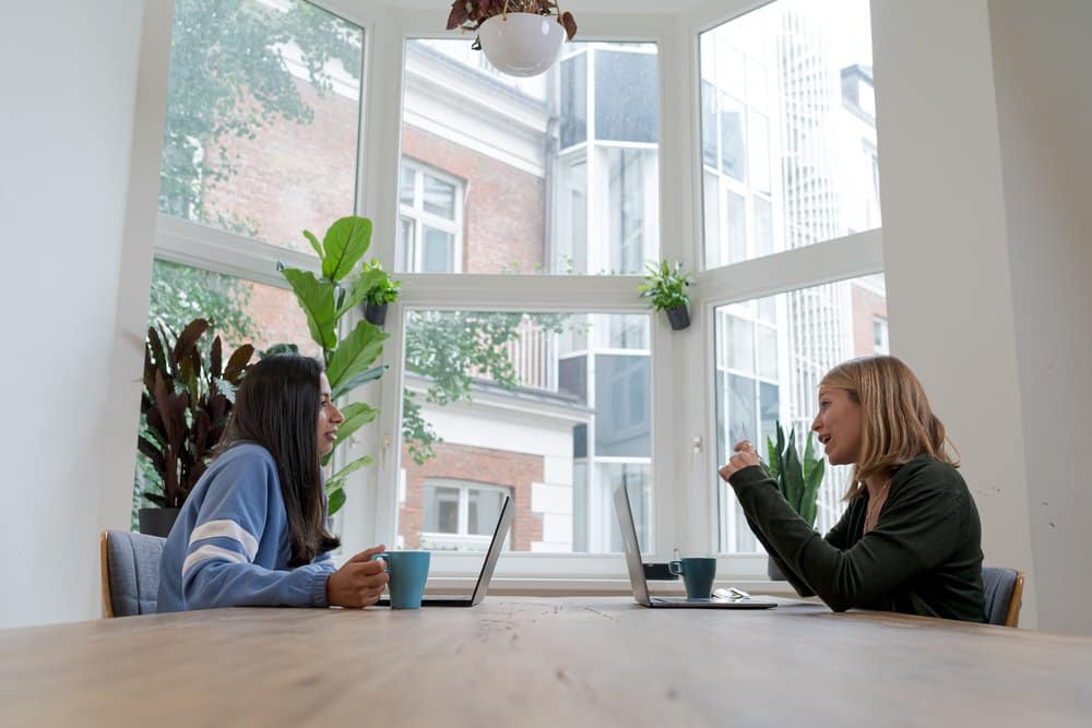 Image of two women speaking across a table in a room with a large bay window and lots of plants