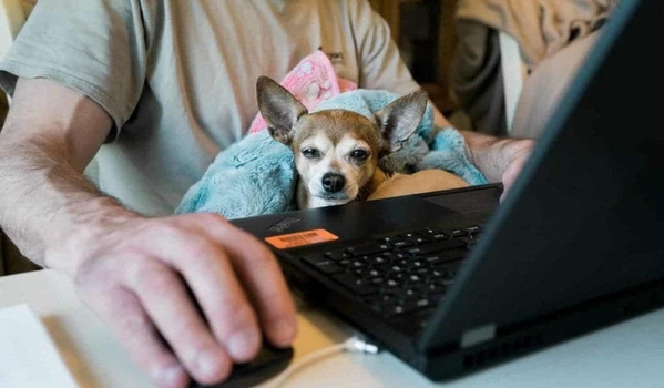 The Remote Work Revolution – A Very Human Argument ✌️ cover