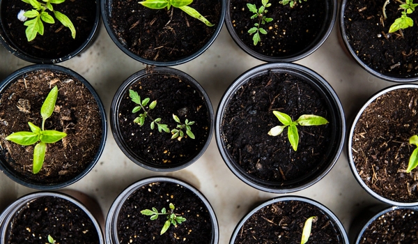 Team Management Skills: From A Solo Entrepreneur to Leader cover