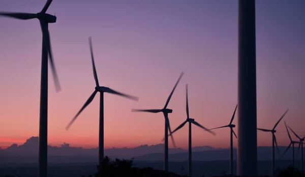 The Continued Importance of Sustainability in Business cover