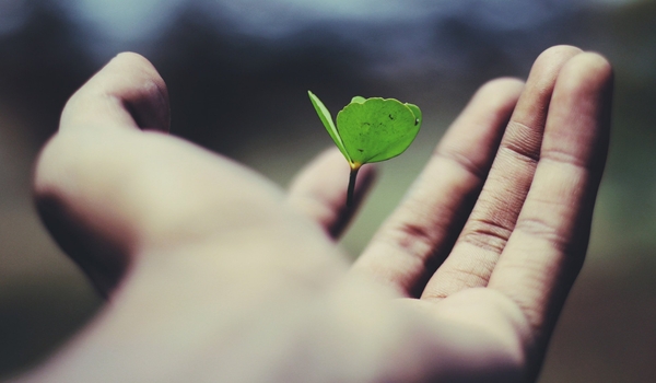 See How Easily You Can Grow Your Business With This One Secret Weapon cover