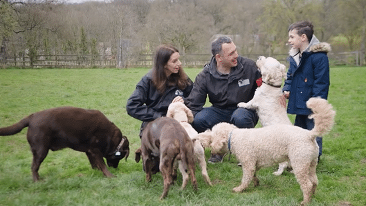 Pets Homes and Gardens